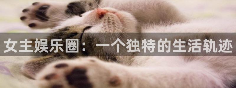 红足1世新：女主娱乐圈：一个独特的生活轨迹