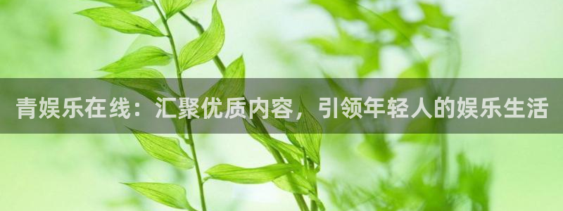 红足1世足球网页版入口：青娱乐在线：汇聚优质内容，引领年轻人的娱乐生活