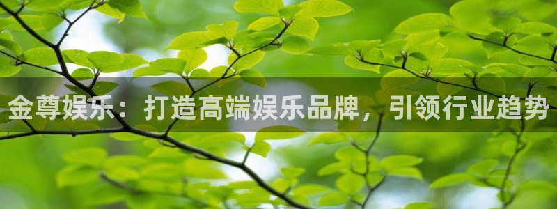 红足1世11814：金尊娱乐：打造高端娱乐品牌，引领行业趋势