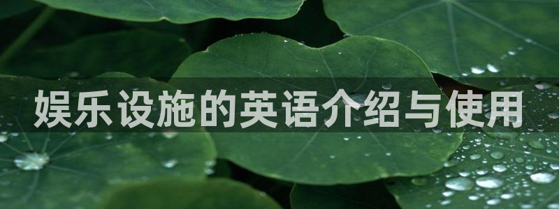 红足1世44814：娱乐设施的英语介绍与使用