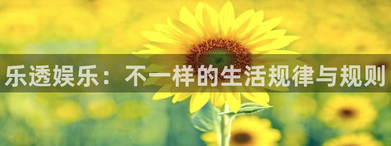 红足1世新：乐透娱乐：不一样的生活规律与规则