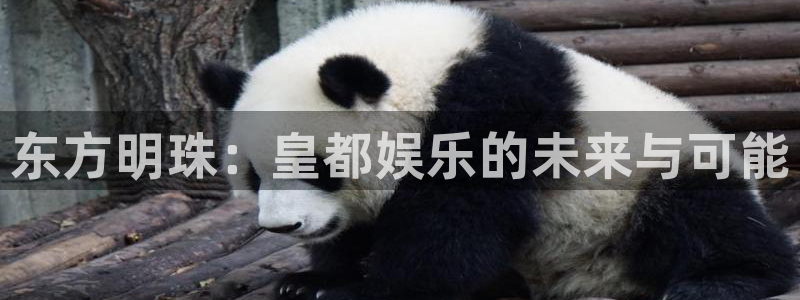 红足1世44814：东方明珠：皇都娱乐的未来与可能