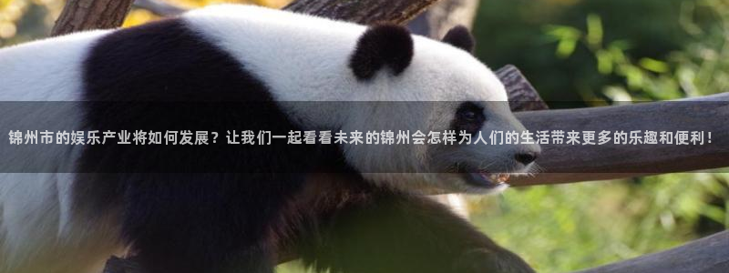红足1世足球网页版入口：锦州市的娱乐产业将如何发展？让我们一起看看未来的锦州会怎样为人们的生活带来更多的乐趣和便利！