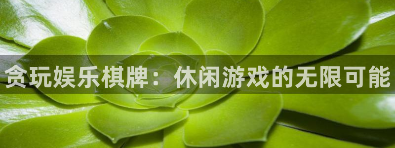 红足1世66814手机：贪玩娱乐棋牌：休闲游戏的无限可能
