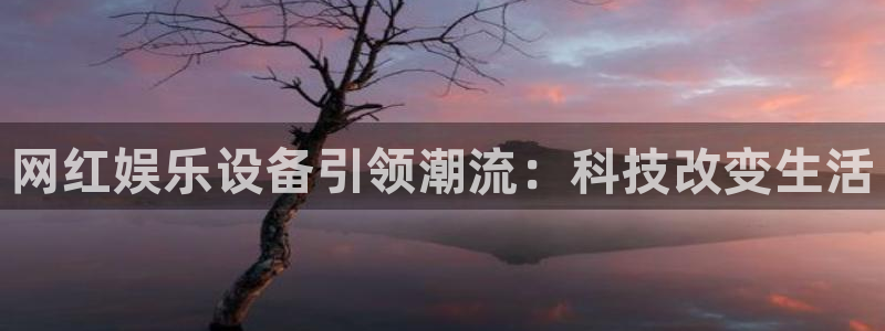 红足1世足球手机版：网红娱乐设备引领潮流：科技改变生活
