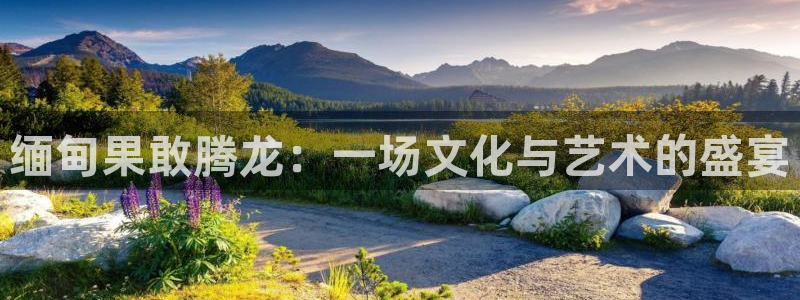 红足1世官网：缅甸果敢腾龙：一场文化与艺术的盛宴